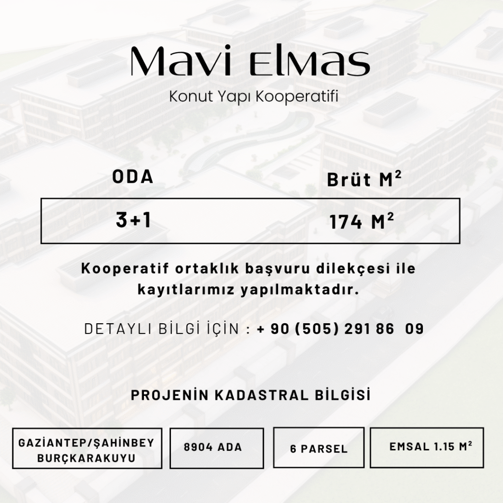 mavi 1